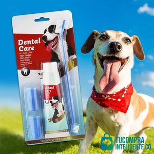 Kit Dental Para Perros / Salud e higiene para tu mascota