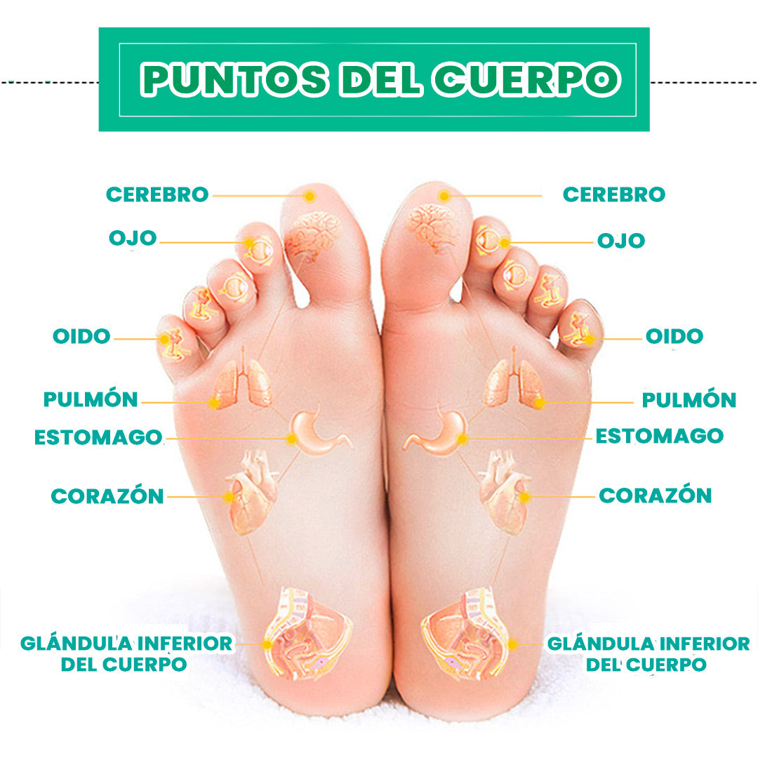 PARCHES NATURAL DETOX / 30 PARCHES RECUPERA TU BIENESTAR
