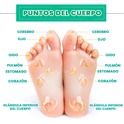 PARCHES NATURAL DETOX / 30 PARCHES RECUPERA TU BIENESTAR