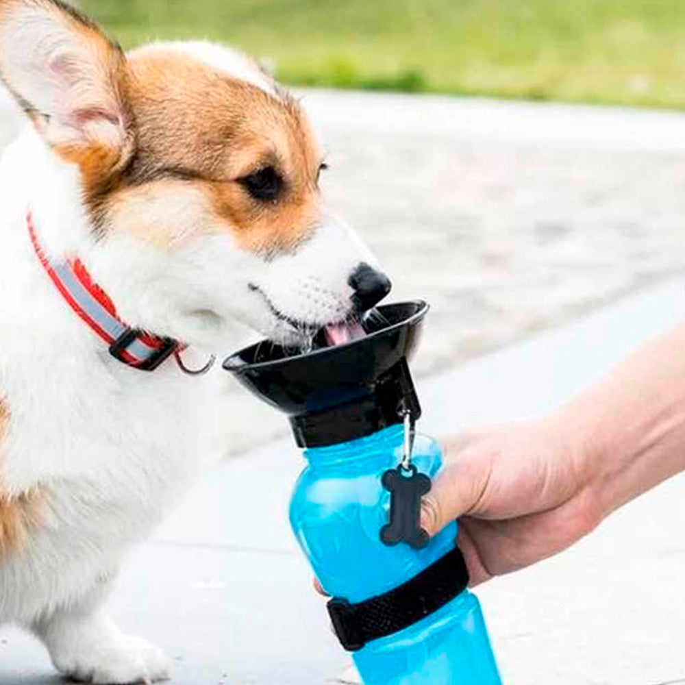 TERMO PARA MASCOTAS / IDEAL PARA TUS PASEOS