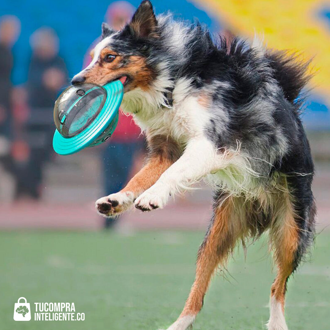 JUGUETE INTERACTIVO® / DISPENSADOR DE ALIMENTOS PARA MASCOTAS