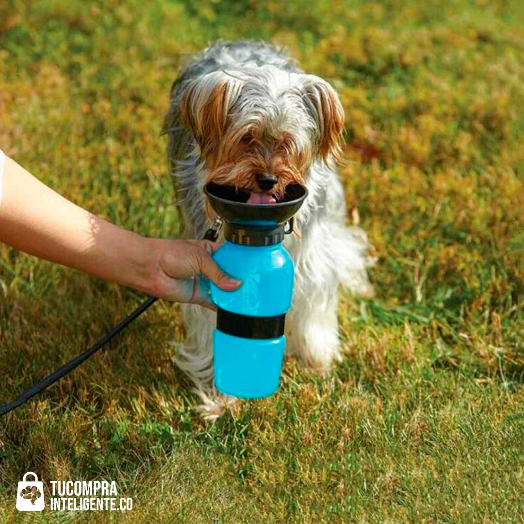 TERMO PARA MASCOTAS / IDEAL PARA TUS PASEOS